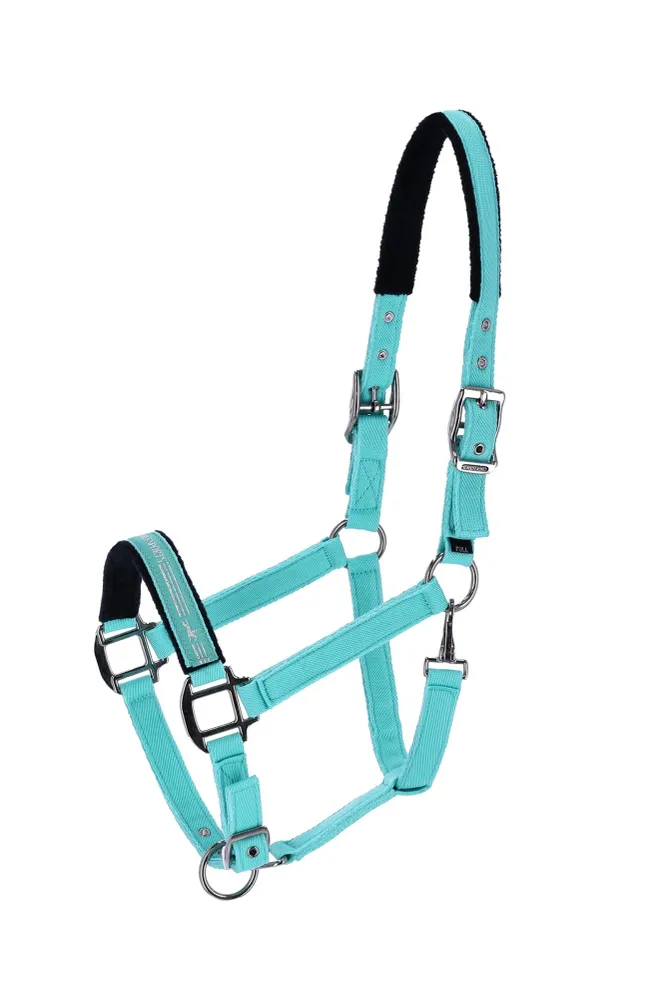 Memphis II Licol Sea Green X-Full