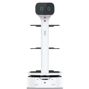 Humanoidní Servisní Robot pro Restaurace Hotely