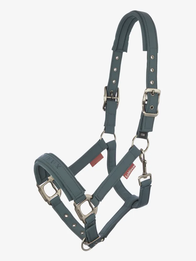 Soft Shell Headcollar Petrol P