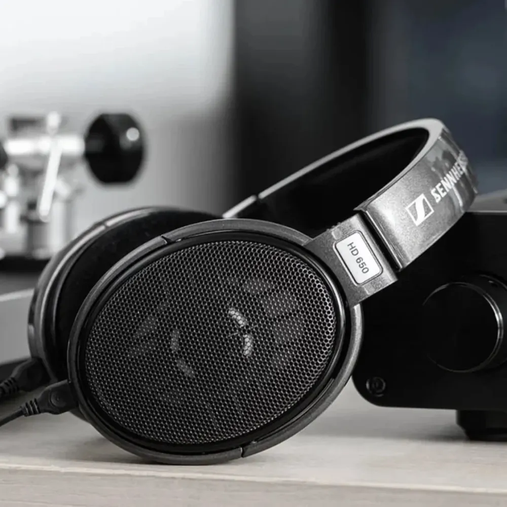 Sluchátka Sennheiser HD 650 Arachne Audio