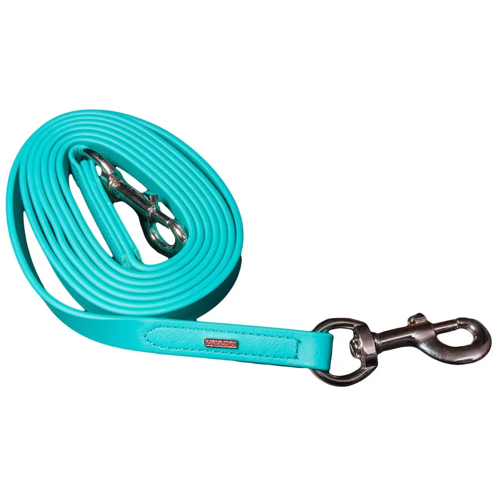 Load Securing SuperStrap Zügel Turquoise Blue/Chrome Isländer