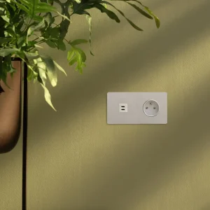 Kew Paired USB-C 30W & French/Belgian Type E Socket - Polished Nickel | White