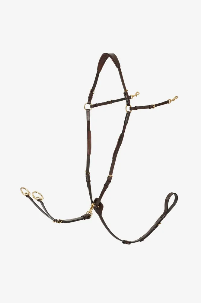 Vorderzeug mit abnehmbarem Martingal Havana Brown WB