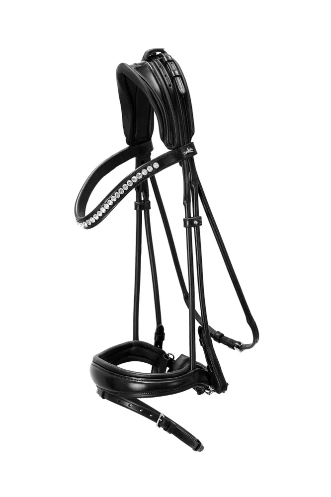 Vojenská kvalita Westminster Trense black/silver V